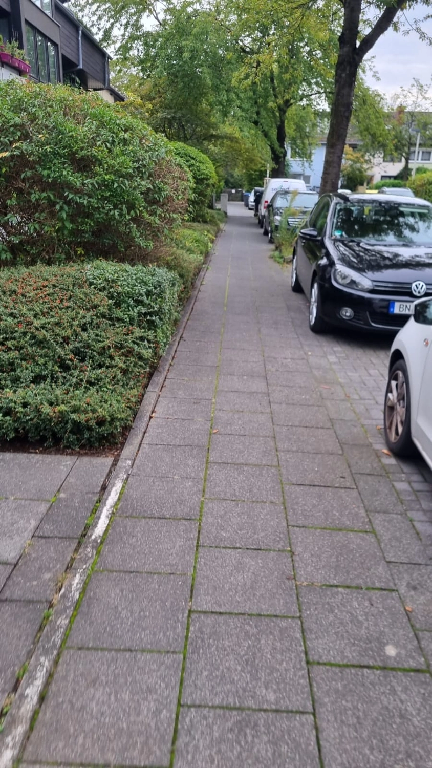 Seiffert Hausmeisterservice – Hausmeisterservice – ein gepflasterter Gehweg mit Radweg neben einer Grünfläche und einer Parkspur für Autos