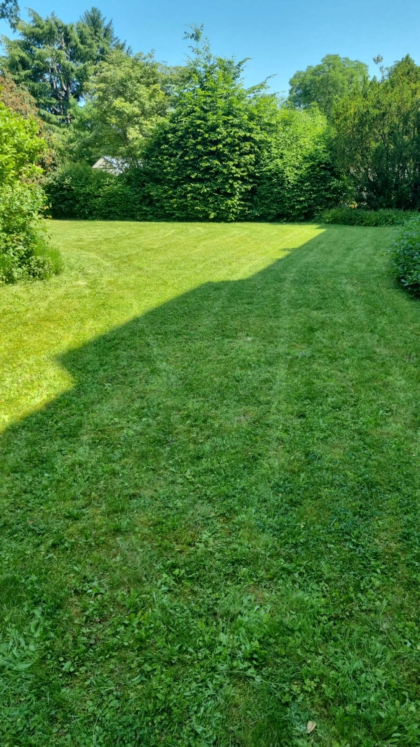 Seiffert Hausmeisterservice – Hausmeisterservice – ein Wohnrasen mit sichtbaren Mähmustern