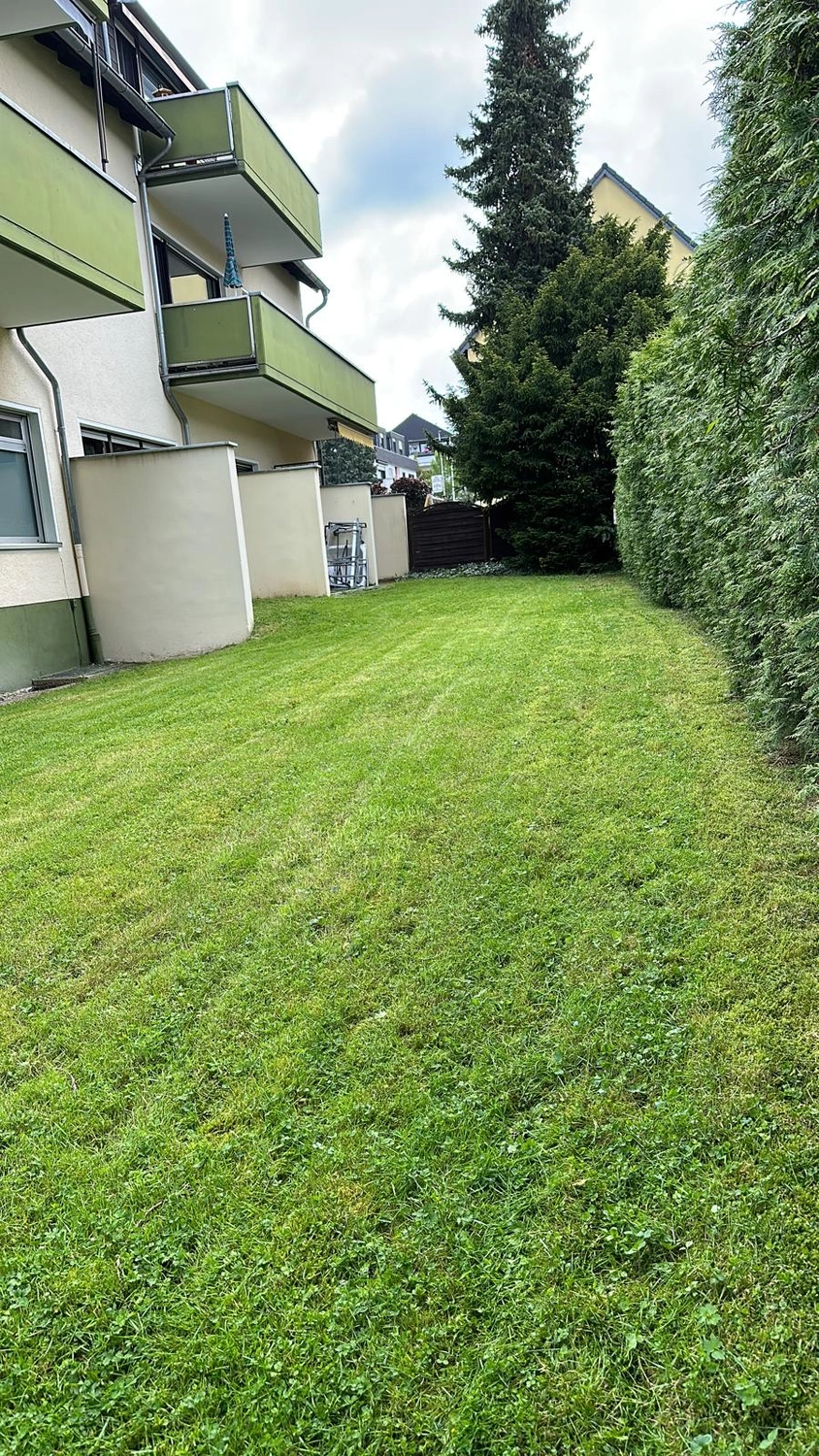 Seiffert Hausmeisterservice – Hausmeisterservice – ein Wohnrasen neben einem Haus, der von einer hohen Hecke begrenzt wird