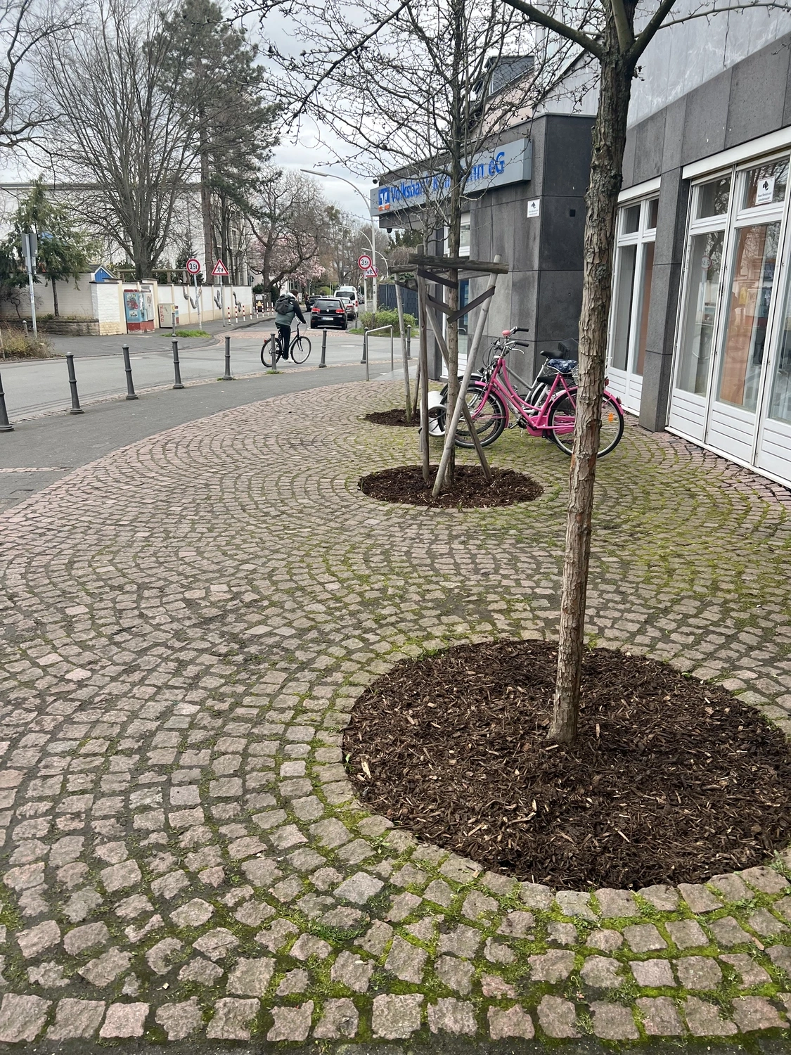 Seiffert Hausmeisterservice – Hausmeisterservice – ein städtischer Gehweg mit Straßenbäumen auf gepflasterten Flächen